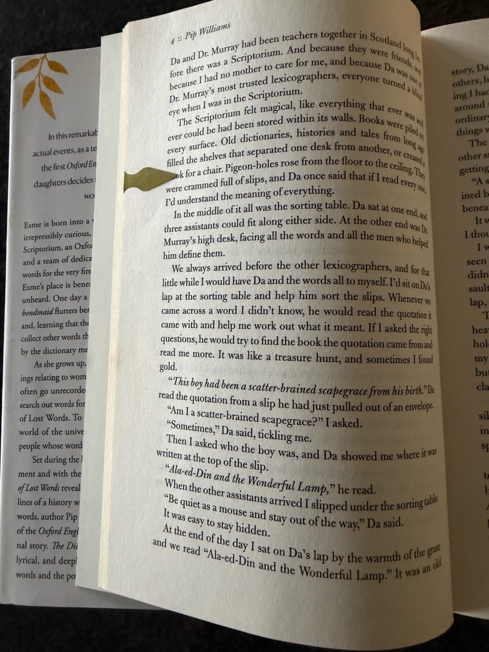 Dictionary of Lost Words - Pip Williams - hardback book ๐ - Picture 5 of 7